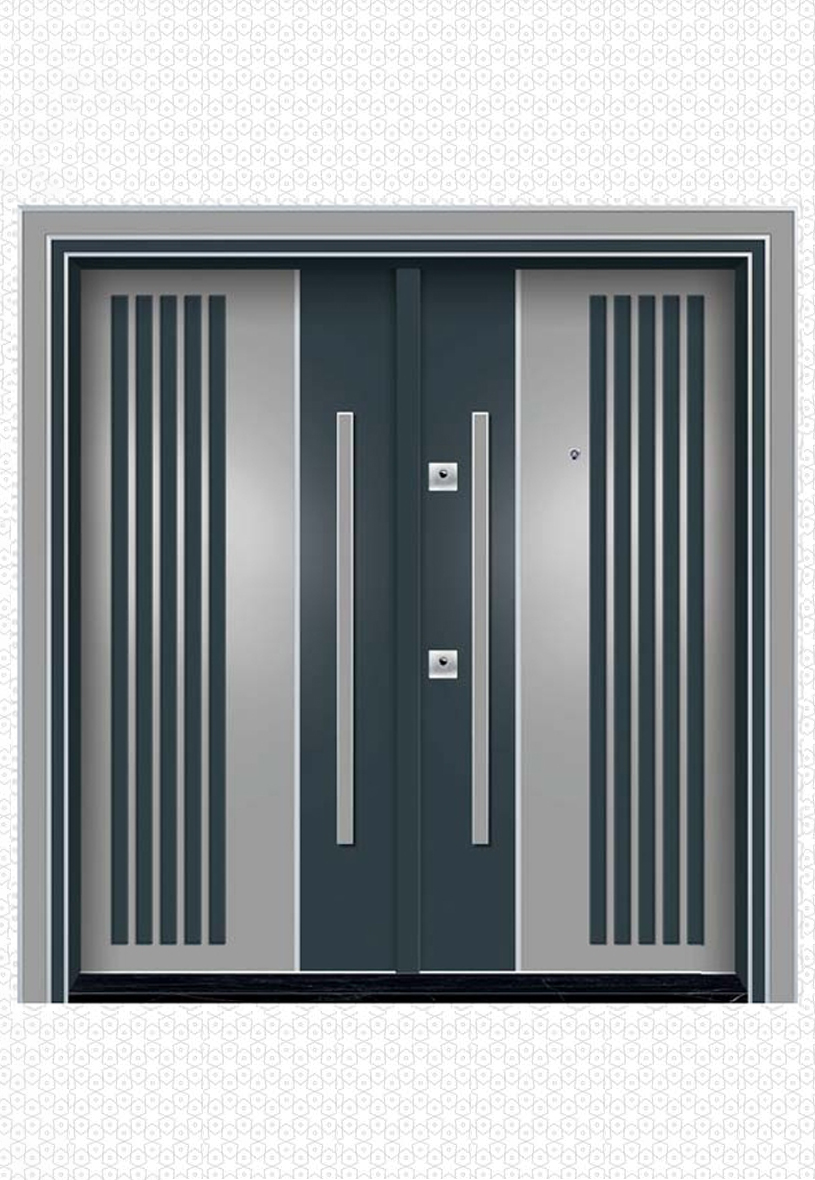 BRM 701- BİNA GİRİŞ KAPISI